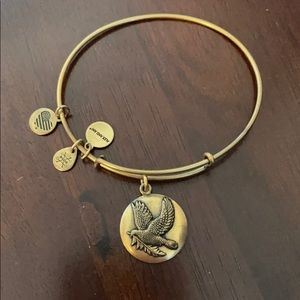 Alex and Ani bangle
